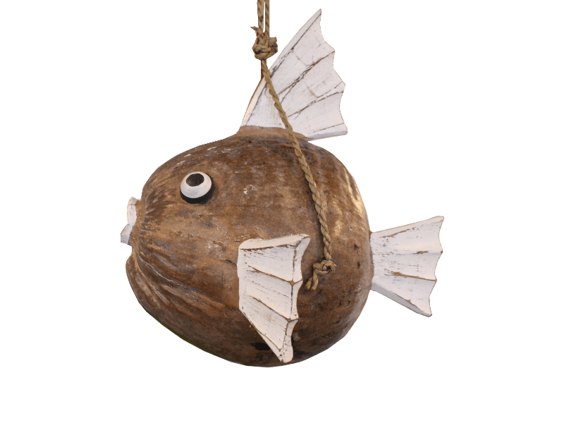 Kala kooskospähkli korest 23738